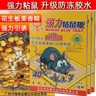 达豪小猫神40克粘胶大老鼠强力粘鼠板加大加厚贴鼠胶硬板香捕鼠器