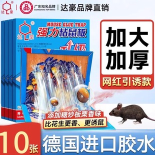 达豪老鼠贴超强力粘鼠板加大加厚德国进口粘鼠胶家用捕鼠驱鼠神器