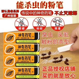 广州佳丽神奇药笔灭头虱子家用灭蚁药跳蚤蟑螂药粉德国小蠊连环杀