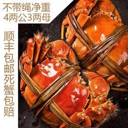 山东东营黄河口大闸蟹螃蟹河蟹大闸蟹礼盒现货顺丰包邮