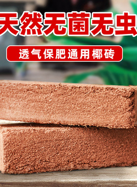 椰砖椰土通用型大块种花种菜种植土兰花土营养土椰糠椰粉砖650g