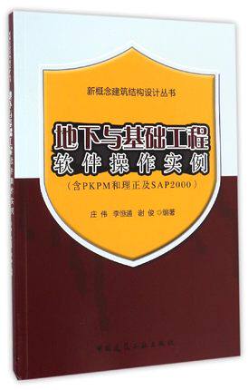 地下与基础工程软件操作实例（含PKPM和理正及SAP2000）