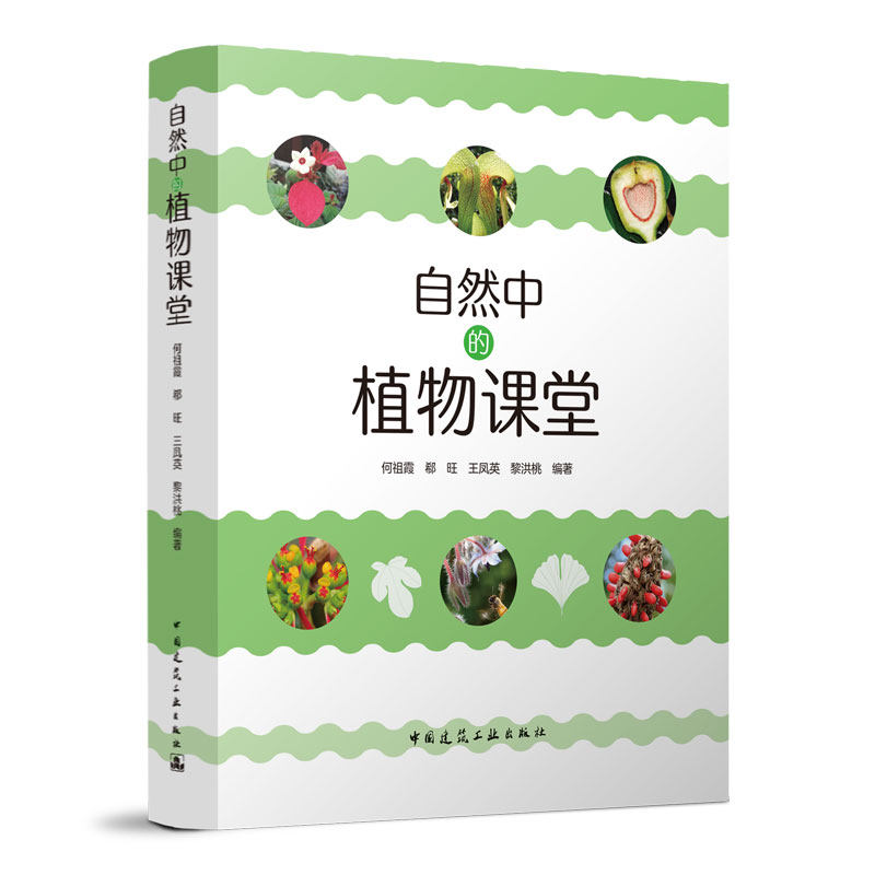 自然中的植物课堂 中国建筑工业出版社正版书籍 自然界的视觉盛宴自然史图解植物图鉴自然科学 成年成人科普大全