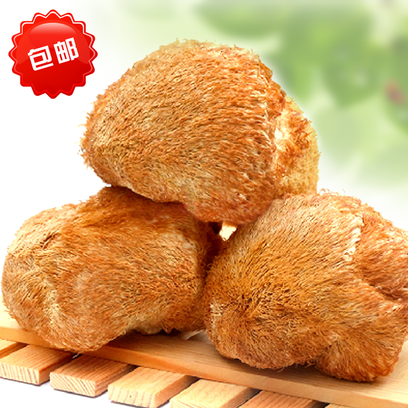 ¶«±±É¢×°¹½ÌزúÒ°ÉúºïÍ·¾ú¹½ÑøÎ¸Ìؼ¶ºïÍ·Ä¢¹½¸É»õ500g