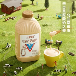兰格格蒙马苏里熟酸奶1kg*2桶大桶装低温早餐酸奶低温酸奶顺丰