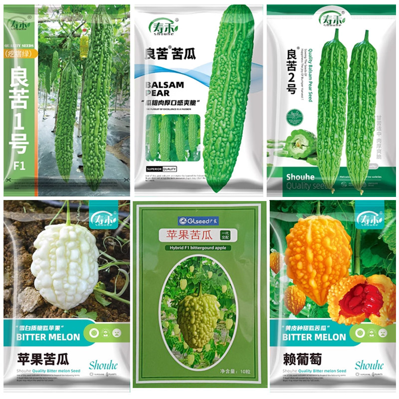 苹果苦瓜种子种籽大全苗盆栽苗子四季秧蔬菜特大白大顶孑水果秧苗,鲜花速递/花卉仿真/绿植园艺,家庭园艺种子,淘宝优惠券,粉丝福利购,淘宝优惠卷