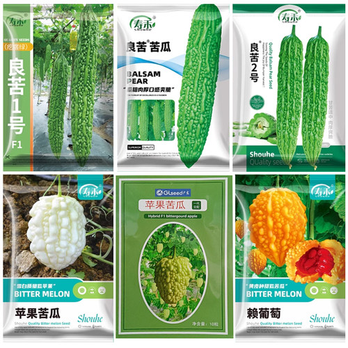 苹果苦瓜种子大白大顶水果秧苗