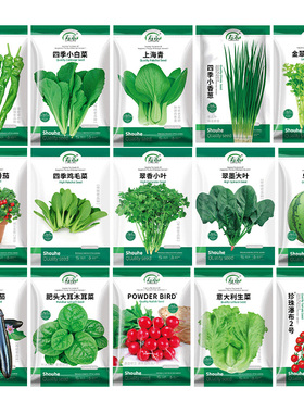 四季优质蔬菜种子种籽大全青菜种籽各种菜子种香菜生菜冬季菠菜孑