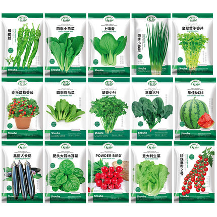 四季优质蔬菜种子种籽大全青菜种籽各种菜籽种香菜生菜春季菠菜孑