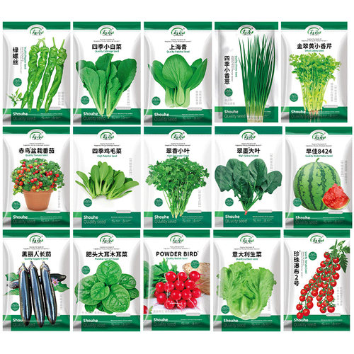 四季优质蔬菜种子种籽大全青菜种籽各种菜子种香菜生菜冬季菠菜孑