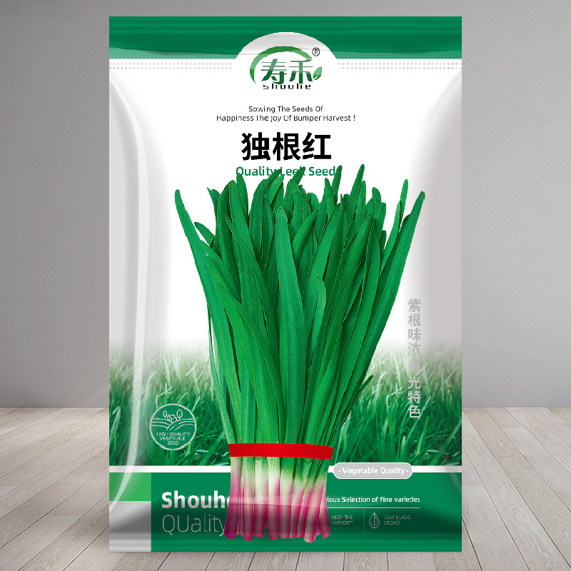 独根红韭菜种子种籽子苗菲菜红根四季根苗紫根菜籽蔬菜孑籽种小叶