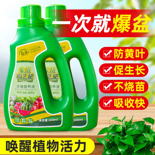 植物营养液专用蔬菜苗番茄黄瓜辣椒茄子家庭种菜通用型盆栽肥料