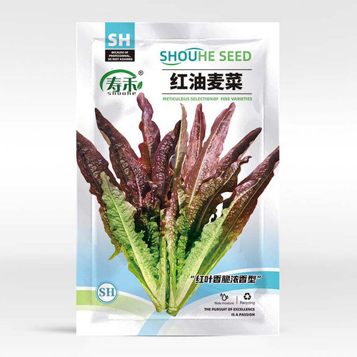 寿禾甜脆红油麦菜种子