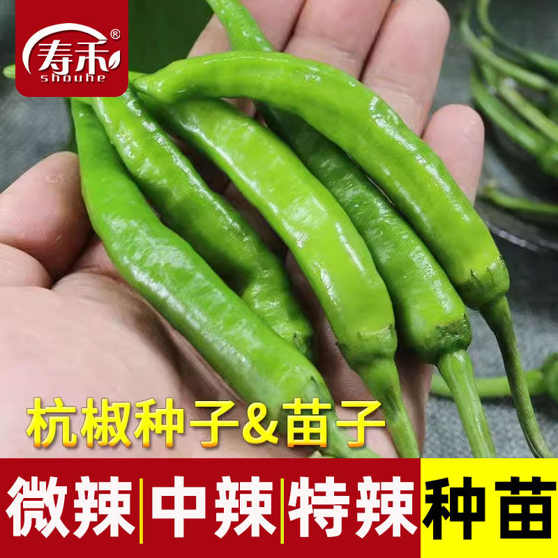 杭椒种籽苗秧辣椒种子秧苗四季特辣南方种籽种不辣蔬菜孑辣子7号,鲜花速递/花卉仿真/绿植园艺,家庭园艺种子,淘宝优惠券,粉丝福利购,淘宝优惠卷