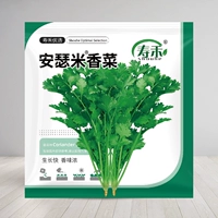 Shouhe Anselmi® Семена кориандра, 10 г, оригинальные (купи 2, получи 1 бесплатно)