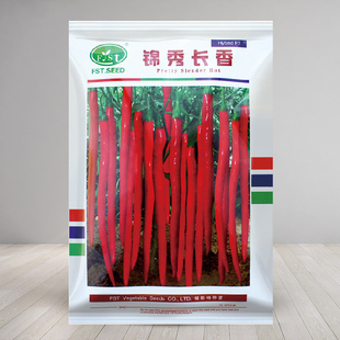 锦绣长香线椒种子辣椒种籽耐热耐湿耐高温特高产长线蔬菜孑籽种