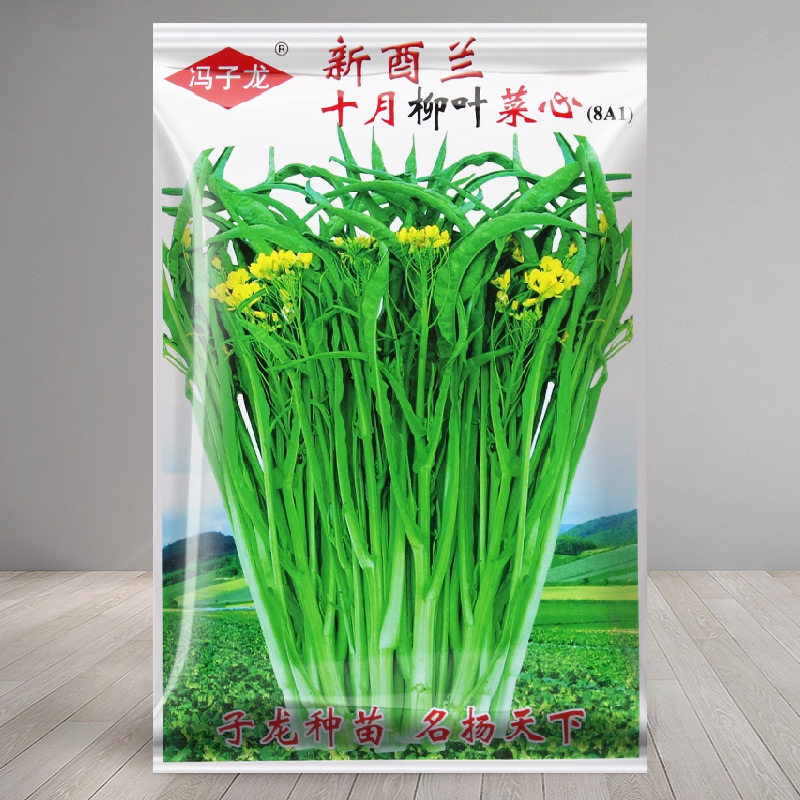 甜脆柳叶菜心种子四季甜菜心种籽孑广东油青菜心蔬菜冬季青菜桂林