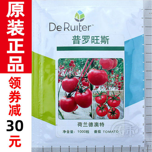 普罗旺斯西红柿种孑种籽苗秧四季水果粉果秧苗老品种番茄种子生吃
