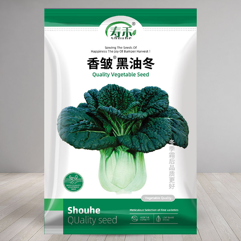 黑油冬种子冬季蔬菜青菜籽种油菜