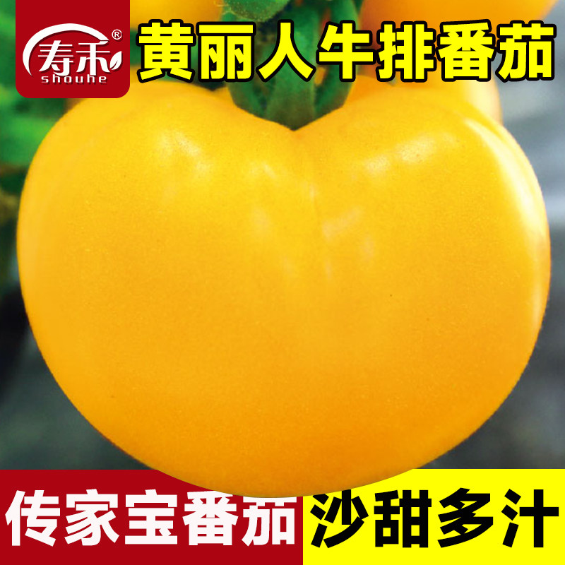 传家宝番茄种子黄丽人牛排盆栽阳台庭院老品种种籽孑蔬菜大西红柿,鲜花速递/花卉仿真/绿植园艺,家庭园艺种子,淘宝优惠券,粉丝福利购,淘宝优惠卷