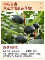 Green Beibei Nannu SEDENCES 5 деревьев