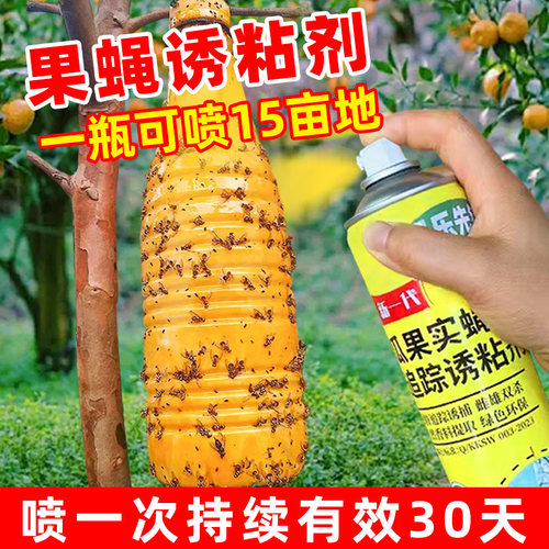 果蝇诱粘剂果树菜园虫子引诱剂