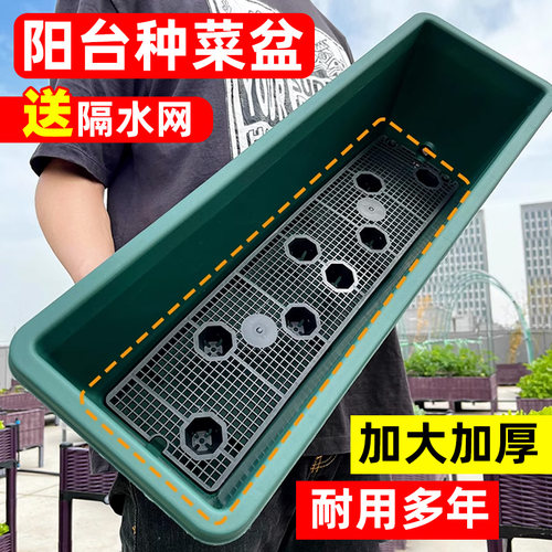 阳台蔬菜种植盆长方形