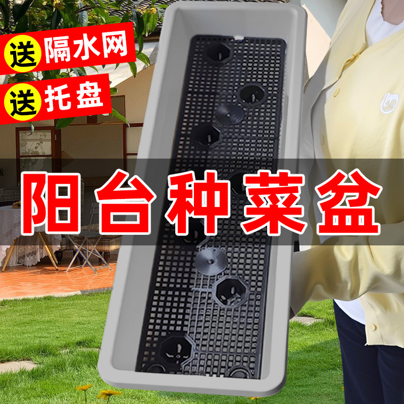 长方形种菜盆阳台专用塑料长条霍伦盆家用大号种菜工具蔬菜草莓