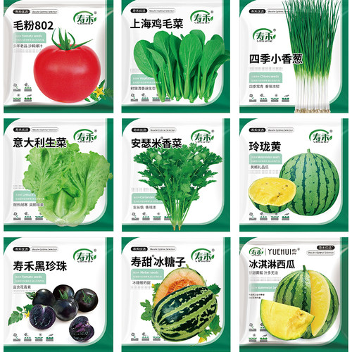 四季蔬菜种子盲盒家庭菜园番茄辣椒春季种植香菜瓜果蔬菜种籽