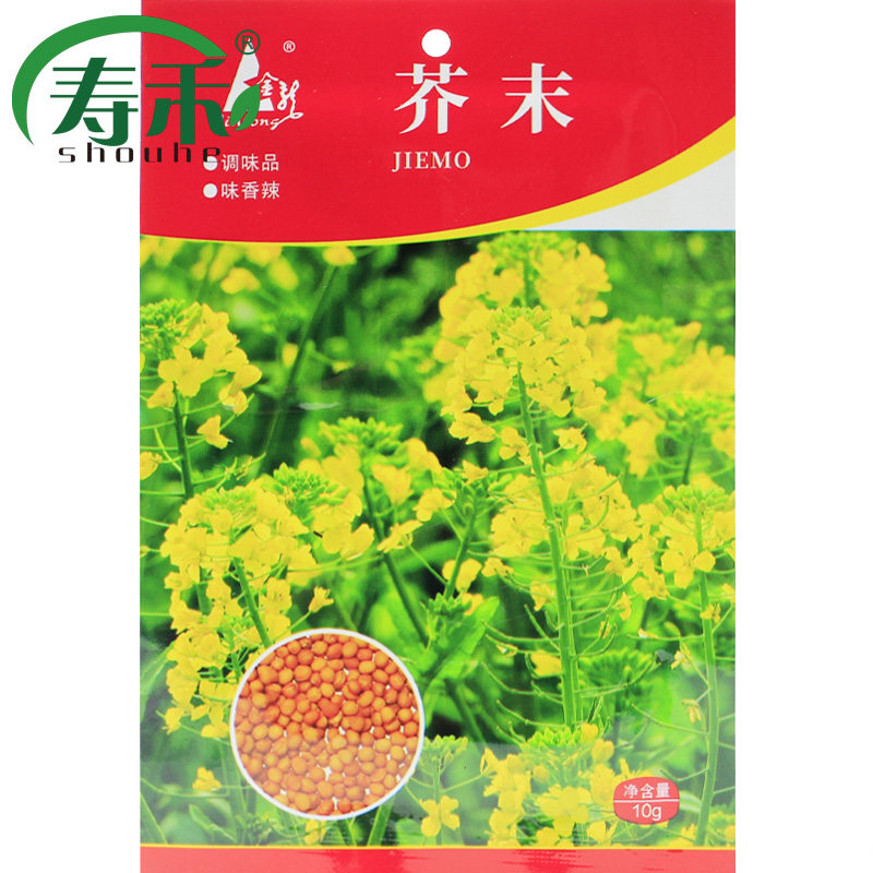 芥末种子种籽孑 家庭四季芥茉盆栽蔬菜春季春天夏季菜籽菜种籽种