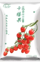 Фрукты тысячелетия маленькие гибридные семена томатов 20 капсулы/сумка