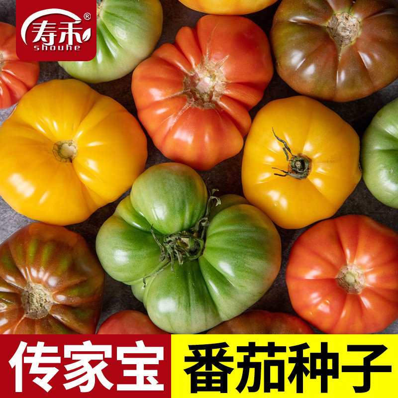 寿禾传家宝番茄种子四季蔬菜种籽