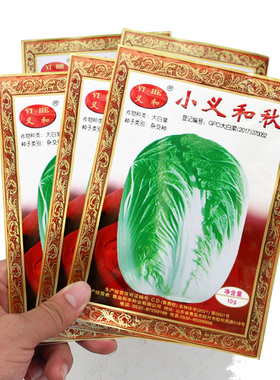 正宗山东胶州大白菜种子种籽孑 小/义和秋高产蔬菜冬储秋季冬季