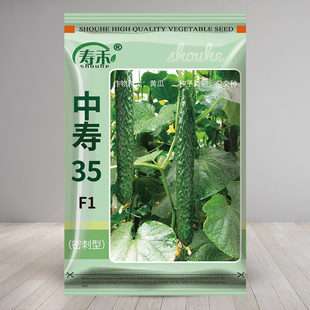 中寿35号系列黄瓜种子种籽荷兰高产早熟耐寒绿肉越冬早春蔬菜大孑