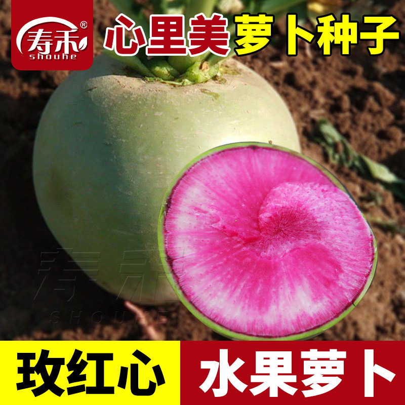 北京杂交种子高产水果红萝卜图片