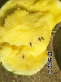 Семена семян семян семян арбуза в Японии, желтый крикет желтые кожуры, маленький весенний южный четыре сезона посадка мулов