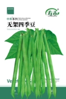 Фиолетовый -Red без укрытия четыре сезона семян бобов 30 г/сумка