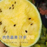 Ша Туо № 3 Huangxin Huangxin Little Abrimelon Seed Seed Polycladia High -Yield Южный четыре сезона