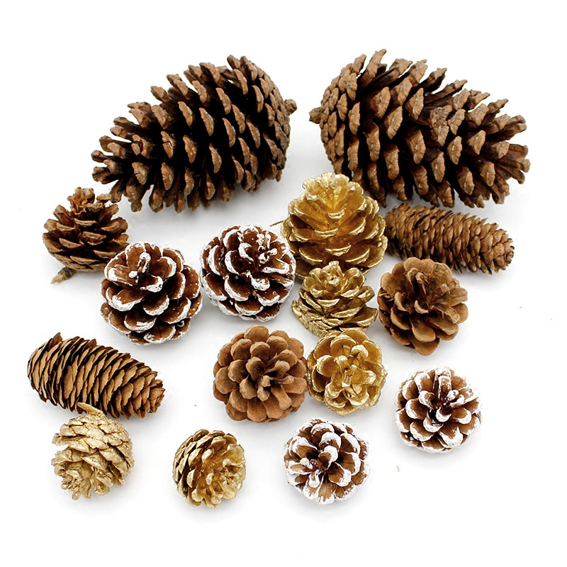小松果原木干果服装拍摄影道具圣诞树装饰品挂饰DIY北欧材料包