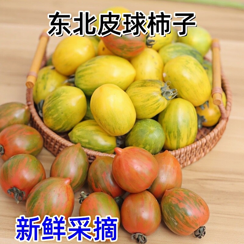 东北皮球柿子新鲜水果花红柿子黄虎皮小番茄新开园春桃柿子西红柿