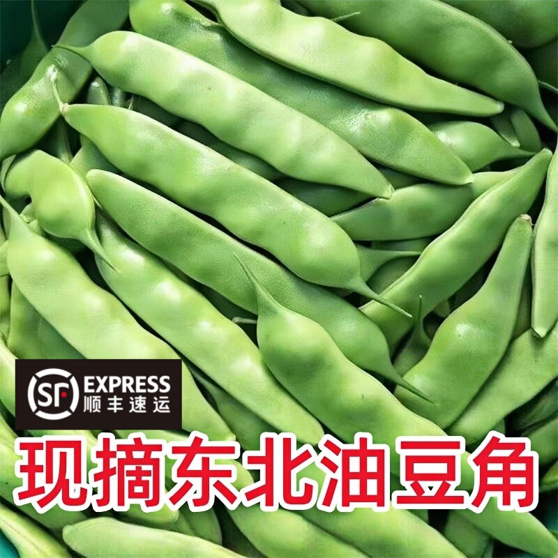 东北新鲜油豆角开锅烂豆角图片