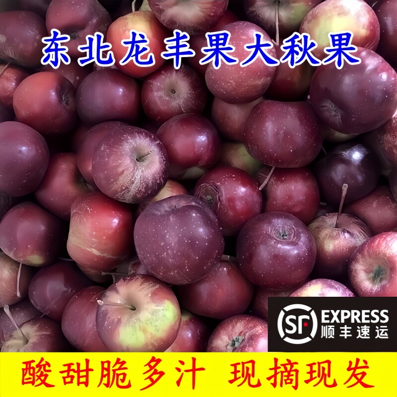 东北特产龙丰果大秋果现摘先发图片