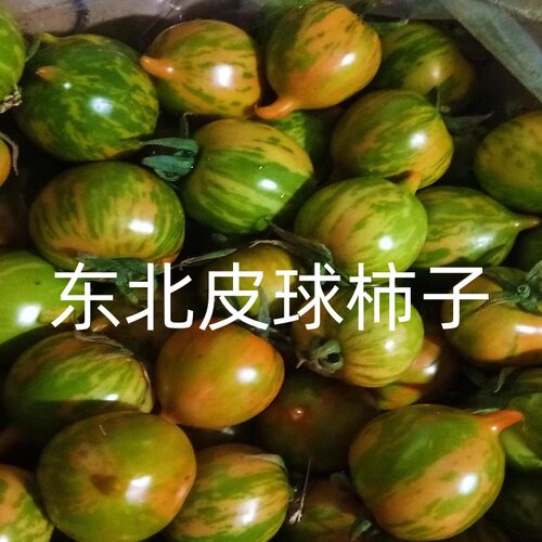 东北皮球柿子自然熟小柿子
