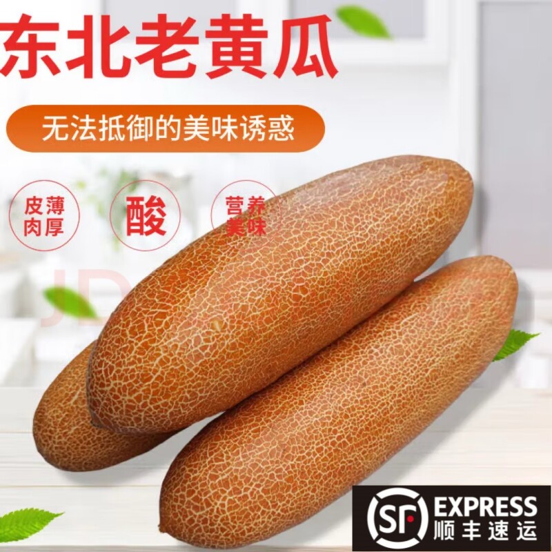 顺丰老黄瓜现摘东北特产麻皮黄瓜应季新鲜蔬菜炖汤凉菜开胃酸黄瓜