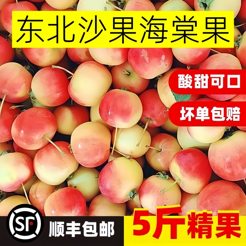 海棠果东北特产沙果新鲜时令水果海棠果酸甜脆糖心小苹果农家果园