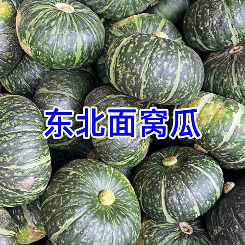 东北窝瓜农家谢花面窝瓜