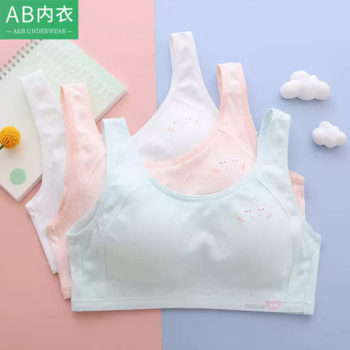AB少女内衣二阶段初高中学生纯棉运动防震背心青春期女孩发育文胸