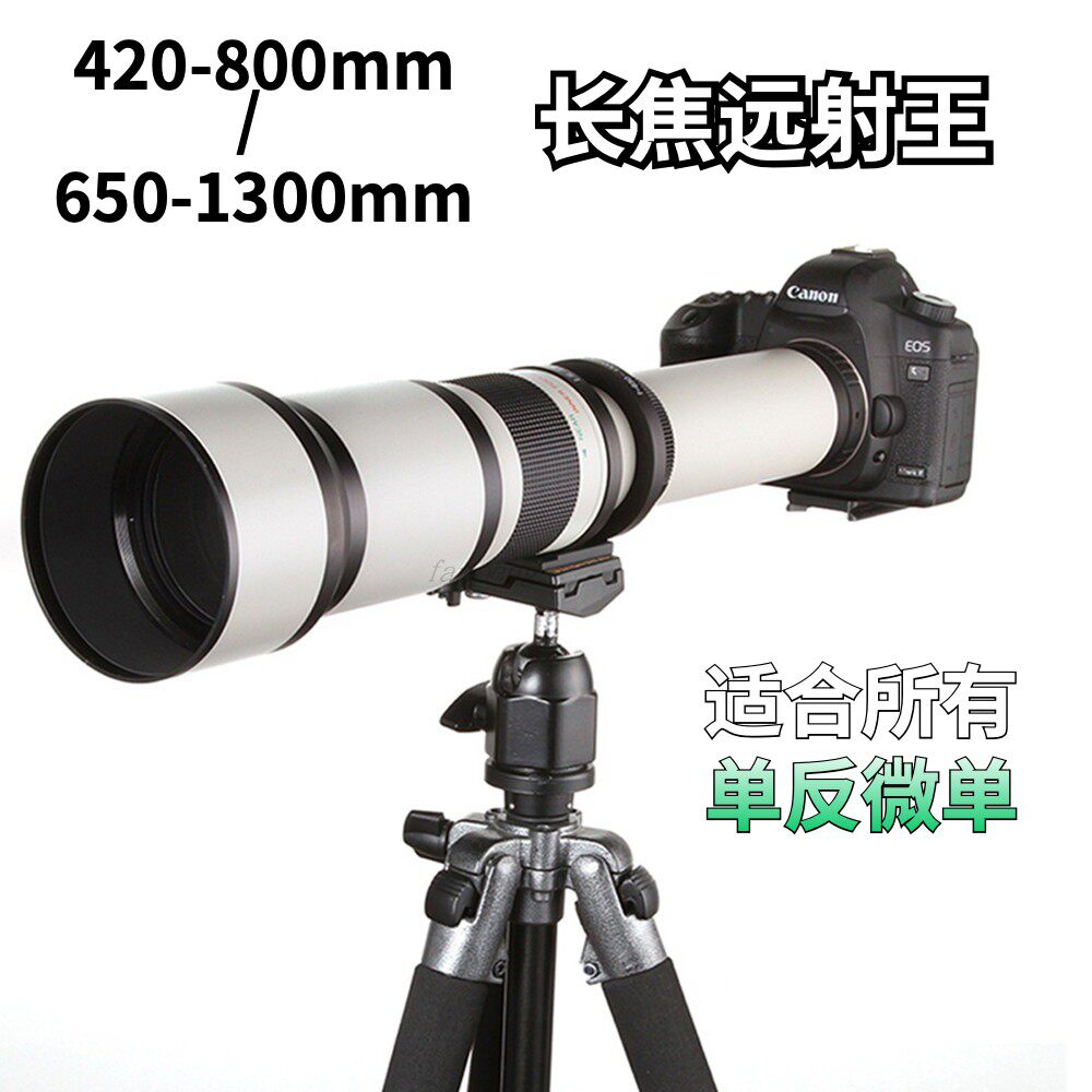 420-2600mm超长变焦镜头打鸟佳能