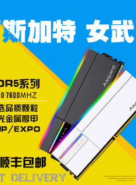 阿斯加特女武神二代 32g(16gx2) ddr5 6000 6800 台式机内存条
