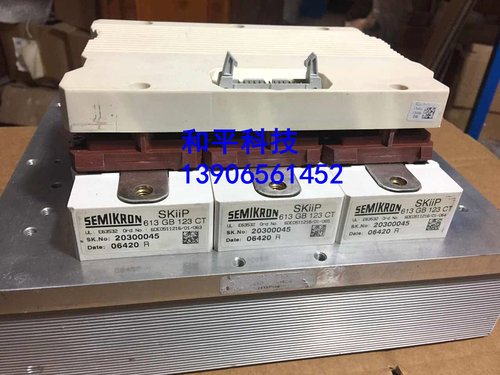 SKiiP613GD123-3DUL  SKiiP513GD172-3DUL 正品   质量保证  现货
